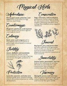 Herbal Correspondences for Astrological Magic: A Reference Guide